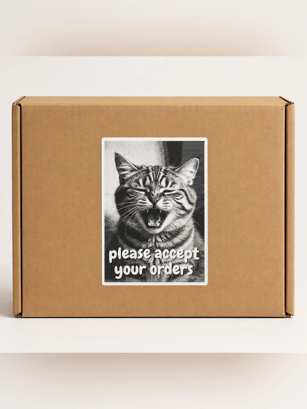 Silly Kitty Please Accept Your Orders Stickers-100ct.